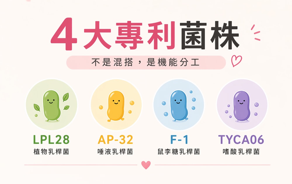 益生菌推薦!不是吃心安,是真心為消費者打算的「MOMMOON 常安心機能益生菌」! - 第4張圖 常安心益生菌四大專利菌株